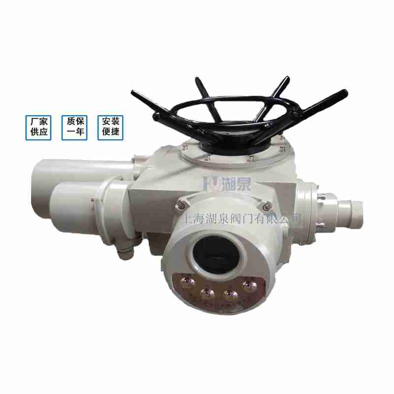 閥門電動裝置（dzw05,10,20，30,45,60，90,12