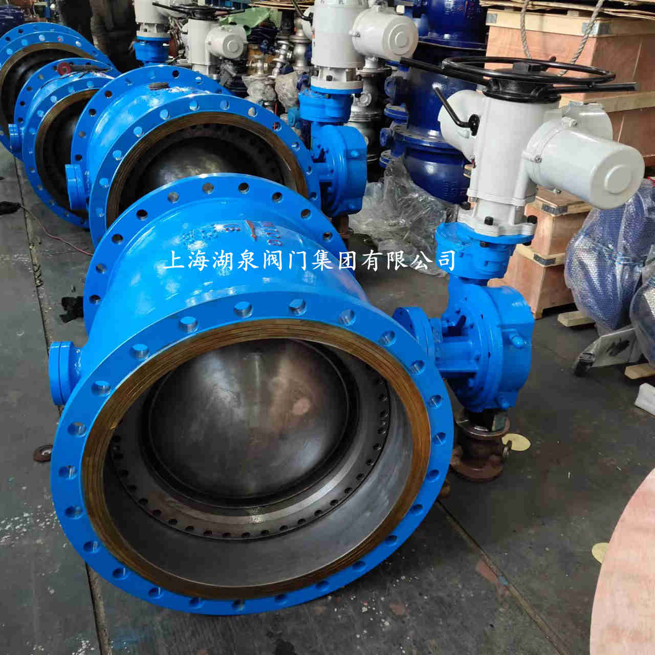 手動大口徑偏心半球閥廠家