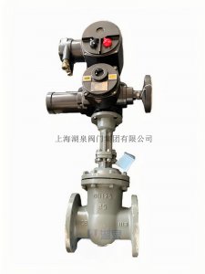 湖泉Z941H-25C DN125礦用隔爆型電動閘閥