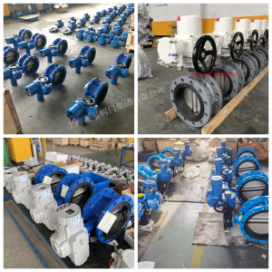 DN80法蘭連接方式220V|D941X-16電動蝶閥